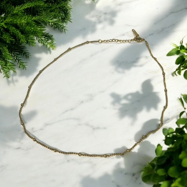 Dotted Chain Necklace| Stainless Steel |  Gold