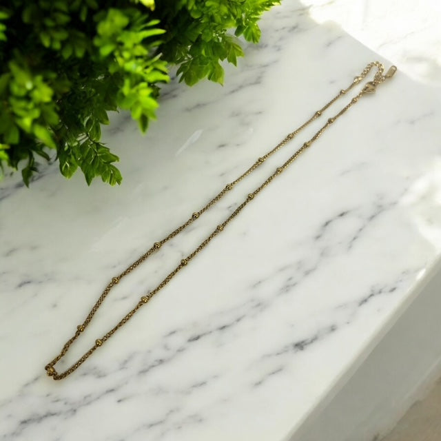 Dotted Chain Necklace| Stainless Steel |  Gold